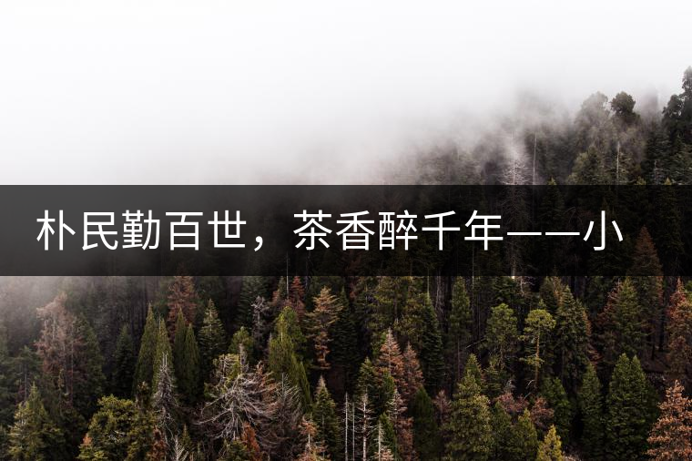 樸民勤百世,茶香醉千年——小戶賽古寨 樸民勤百世,茶香醉千年——小戶賽古寨