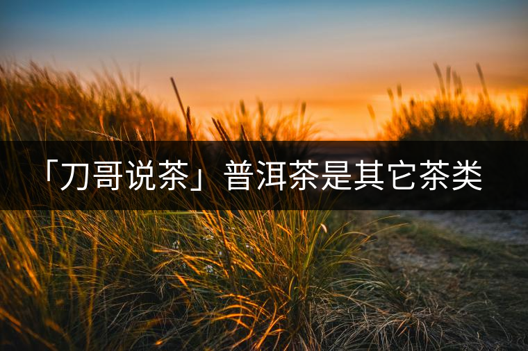 「刀哥說茶」普洱茶是其它茶類的終結者 「刀哥說茶」普洱茶是其它茶類的終結者