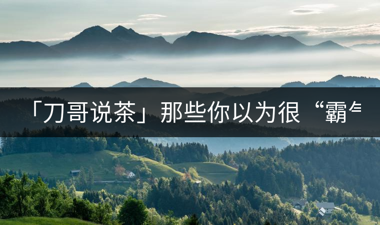 「刀哥說茶」那些你以為很“霸氣”的茶,根本就不是... 「刀哥說茶」那些你以為很“霸氣”的茶,根本就不是...