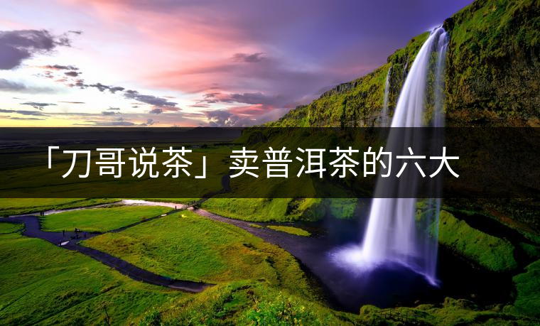 「刀哥說茶」賣普洱茶的六大義務 「刀哥說茶」賣普洱茶的六大義務