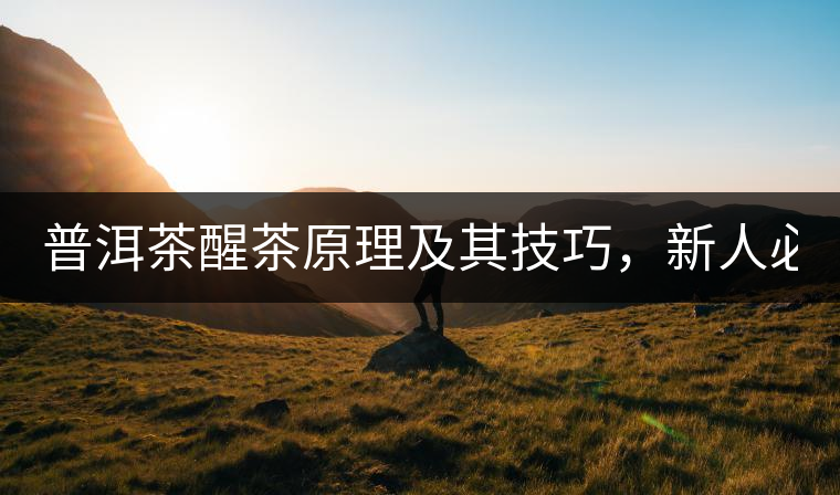 普洱茶醒茶原理及其技巧，新人必備！