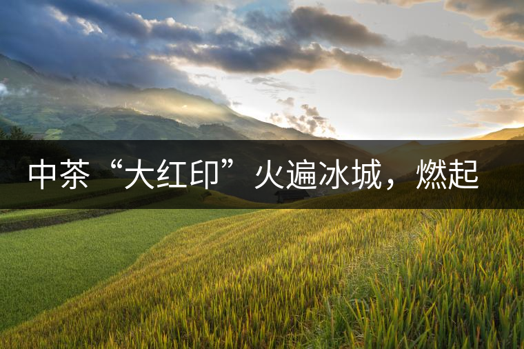 中茶“大紅印”火遍冰城,燃起普洱茶新味蕾 中茶“大紅印”火遍冰城,燃起普洱茶新味蕾
