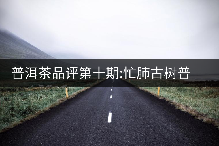 普洱茶品評第十期:忙肺古樹普洱茶品評第十期:忙肺古樹 普洱茶品評第十期:忙肺古樹普洱茶品評第十期:忙肺古樹