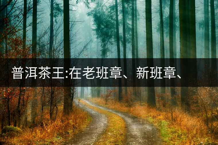 普洱茶王:在老班章、新班章、老曼峨之間普洱茶王:在老班章、新班章、老曼峨之間 普洱茶王:在老班章、新班章、老曼峨之間普洱茶王:在老班章、新班章、老曼峨之間