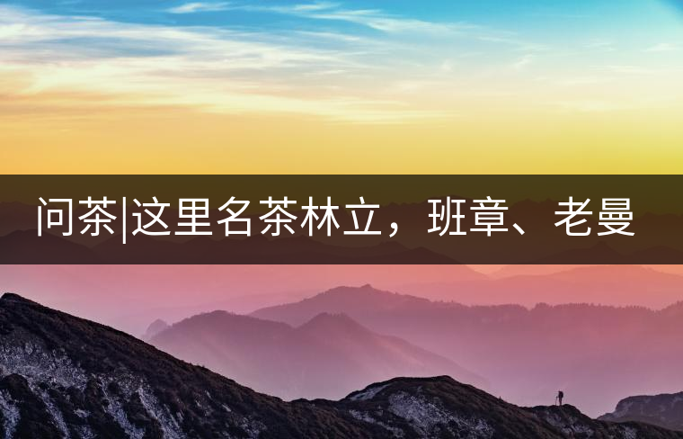 問(wèn)茶|這里名茶林立,班章、老曼峨皆在其列!問(wèn)茶|這里名茶林立,班章、老曼峨皆在其列! 問(wèn)茶|這里名茶林立,班章、老曼峨皆在其列!問(wèn)茶|這里名茶林立,班章、老曼峨皆在其列!