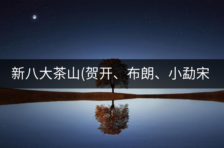 新八大茶山(賀開、布朗、小勐宋、巴達)講解二新八大茶山（賀開、布朗、小勐宋、巴達）講解二