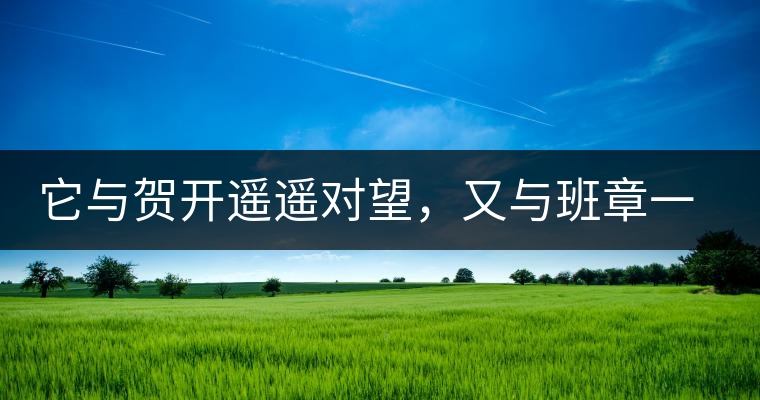 它與賀開遙遙對望，又與班章一衣帶水，它是班盆古樹春尖它與賀開遙遙對望，又與班章一衣帶水，它是班盆古樹春尖