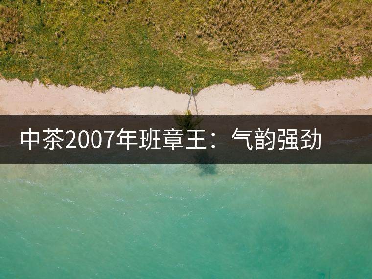中茶2007年班章王:氣韻強(qiáng)勁,蜂蜜水般甜潤,一直被老茶客撿漏 中茶2007年班章王:氣韻強(qiáng)勁,蜂蜜水般甜潤,一直被老茶客撿漏