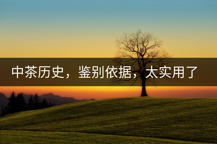 中茶歷史,鑒別依據(jù),太實(shí)用了中茶歷史,鑒別依據(jù),太實(shí)用了 中茶歷史,鑒別依據(jù),太實(shí)用了中茶歷史,鑒別依據(jù),太實(shí)用了