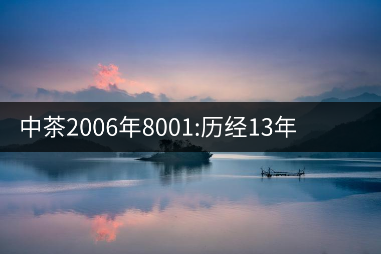 中茶2006年8001:歷經13年陳，中茶“紅印圓茶”經典再現