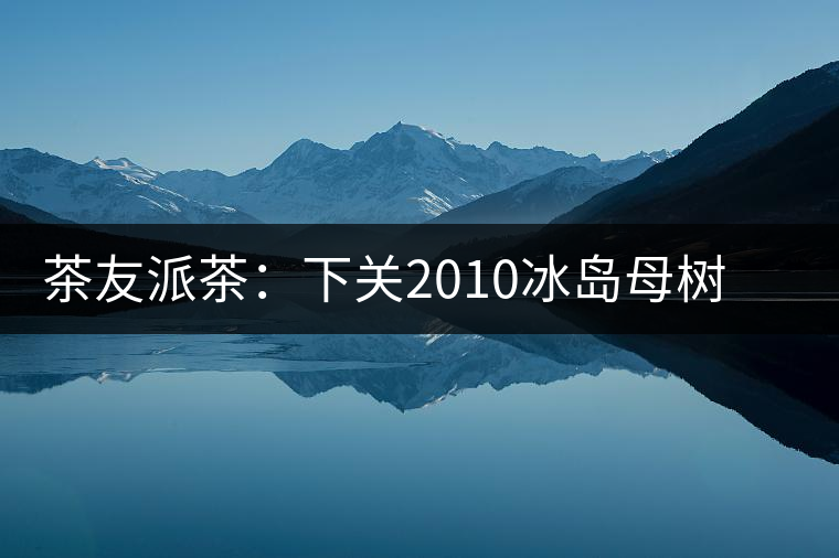 茶友派茶：下關(guān)2010冰島母樹，挺甜的，母樹是個(gè)什么概念？