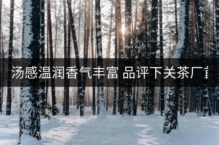 湯感溫潤(rùn)香氣豐富 品評(píng)下關(guān)茶廠首批8653湯感溫潤(rùn)香氣豐富 品評(píng)下關(guān)茶廠首批8653 湯感溫潤(rùn)香氣豐富 品評(píng)下關(guān)茶廠首批8653湯感溫潤(rùn)香氣豐富 品評(píng)下關(guān)茶廠首批8653