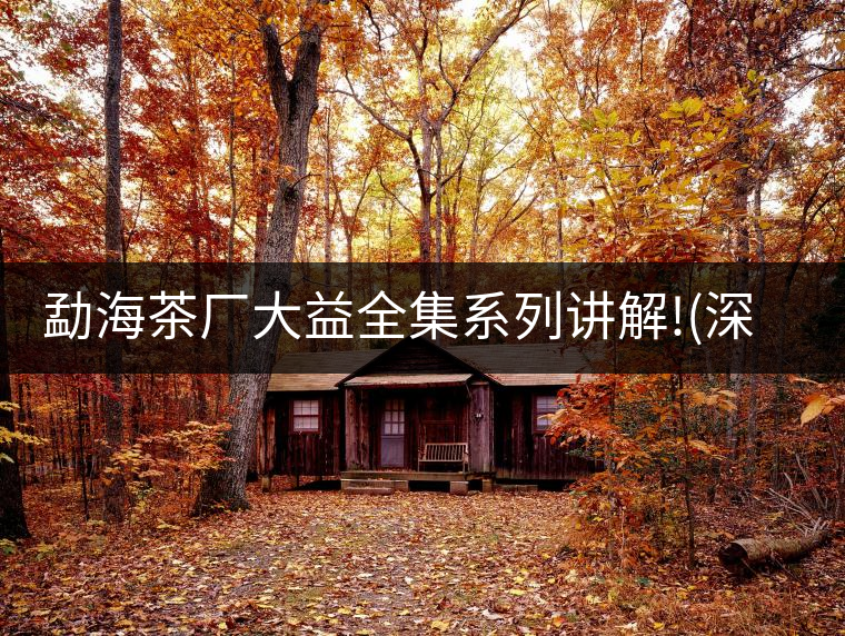 勐海茶廠大益全集系列講解!(深度講解大益茶品，建議收藏...勐海茶廠大益全集系列講解！（深度講解大益茶品，建議收藏）