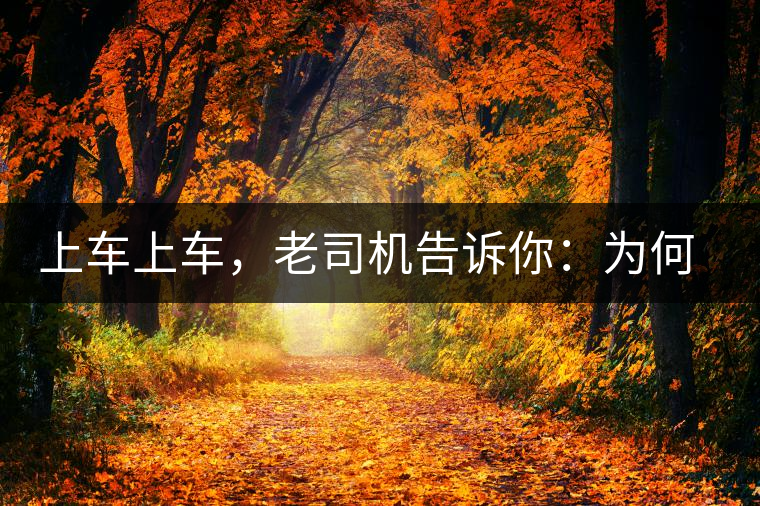 上車上車，老司機告訴你：為何明前茶貴如金