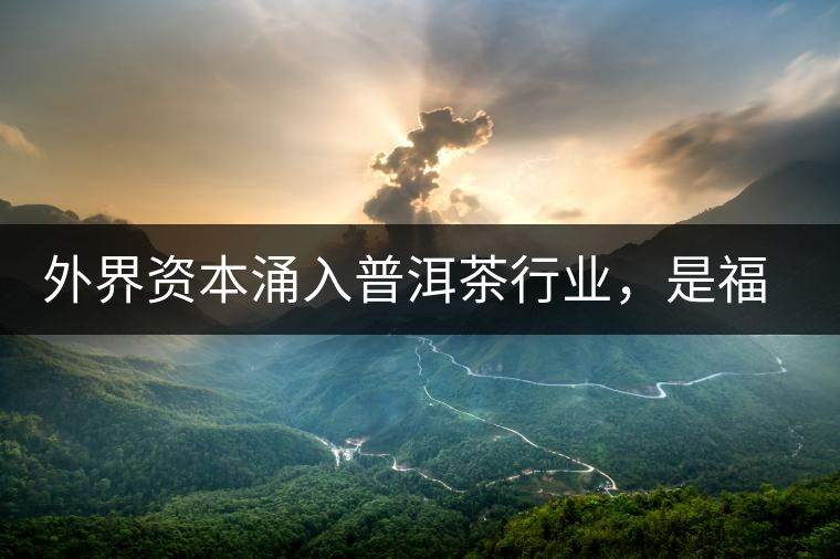 外界資本涌入普洱茶行業，是福還是禍？