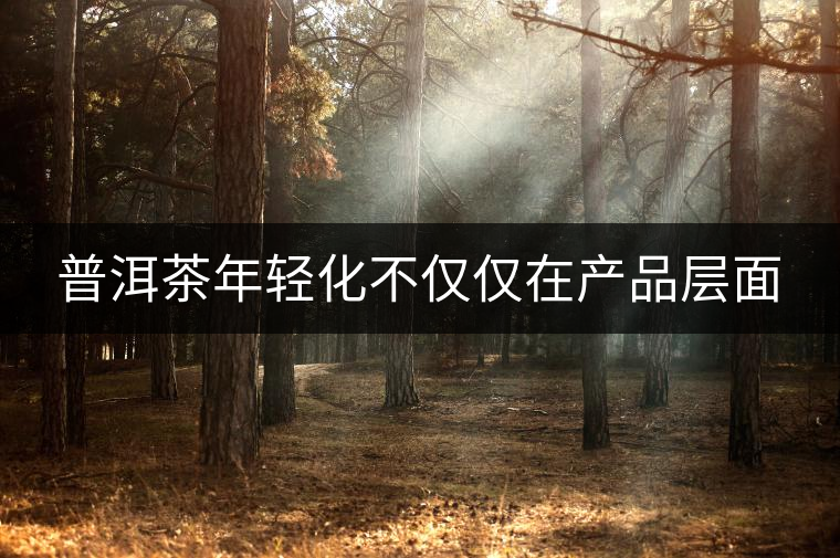 普洱茶年輕化不僅僅在產品層面 普洱茶年輕化不僅僅在產品層面