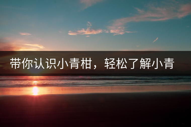 帶你認識小青柑,輕松了解小青柑的前世今生 帶你認識小青柑,輕松了解小青柑的前世今生