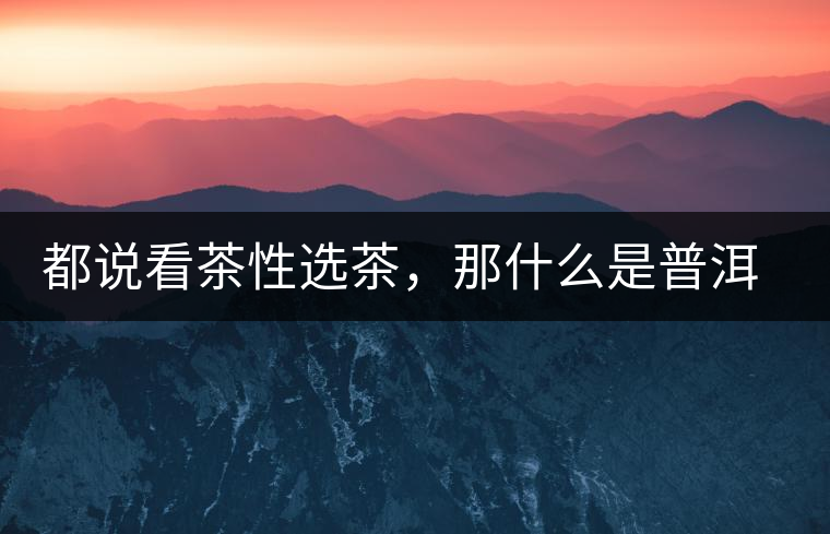 都說看茶性選茶，那什么是普洱茶的“茶性”呢？