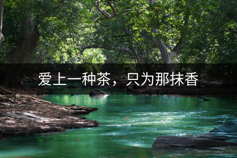 愛(ài)上一種茶,只為那抹香 愛(ài)上一種茶,只為那抹香