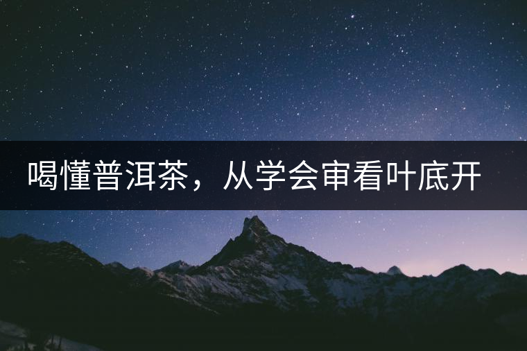 喝懂普洱茶，從學會審看葉底開始