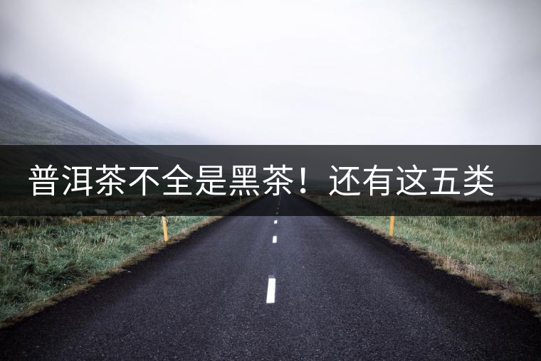 普洱茶不全是黑茶！還有這五類茶，現在知道還不算晚