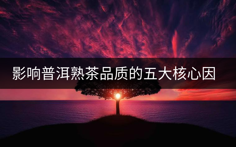 影響普洱熟茶品質的五大核心因素
