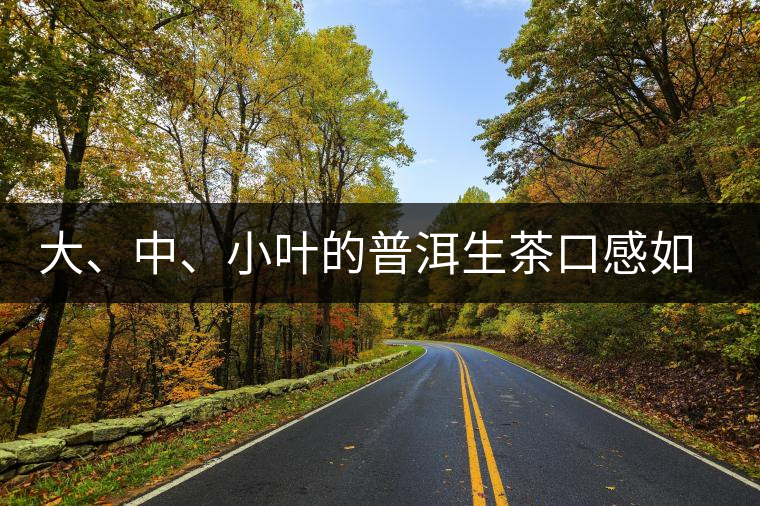 大、中、小葉的普洱生茶口感如何辨別? 大、中、小葉的普洱生茶口感如何辨別?