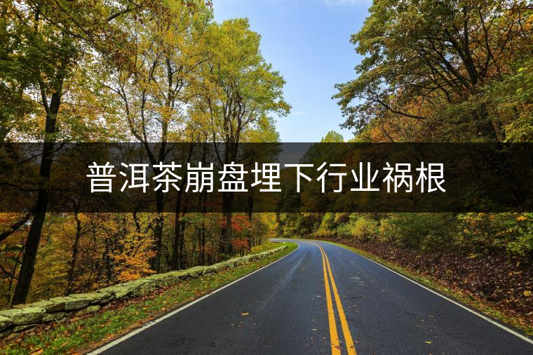普洱茶崩盤埋下行業禍根 普洱茶崩盤埋下行業禍根