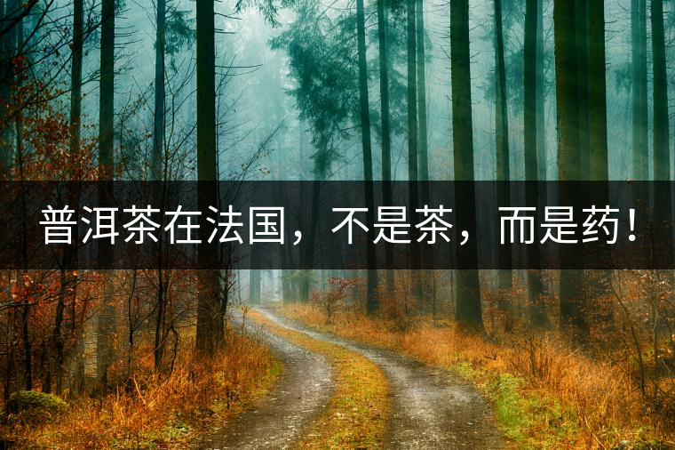 普洱茶在法國，不是茶，而是藥！