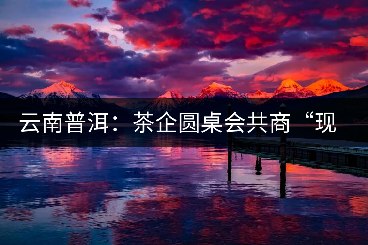 云南普洱:茶企圓桌會共商“現在·未來 云南普洱:茶企圓桌會共商“現在·未來