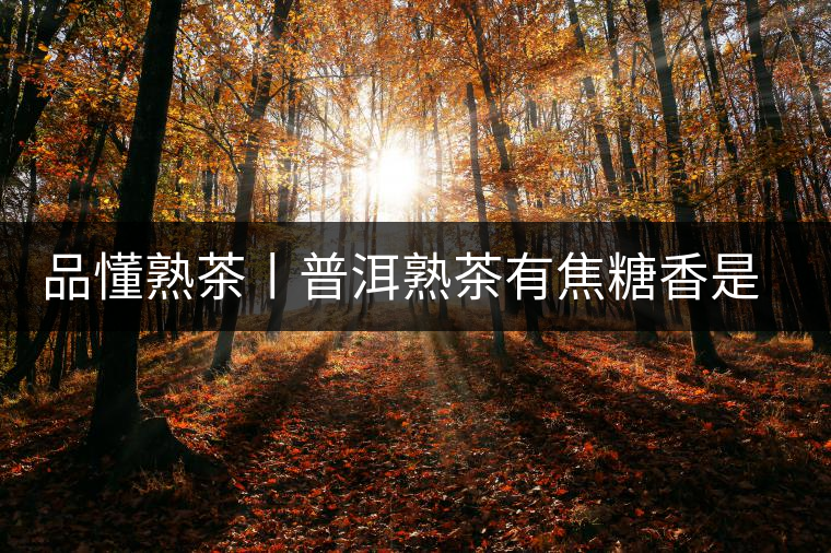 品懂熟茶丨普洱熟茶有焦糖香是好還是不好的表現？