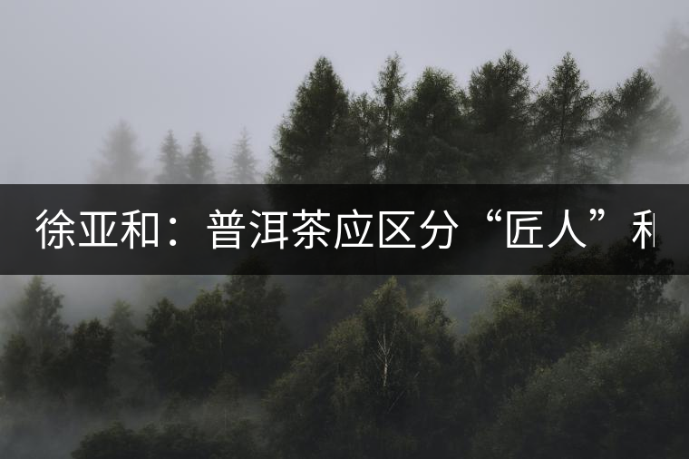徐亞和:普洱茶應區分“匠人”和“投機者” 徐亞和:普洱茶應區分“匠人”和“投機者”