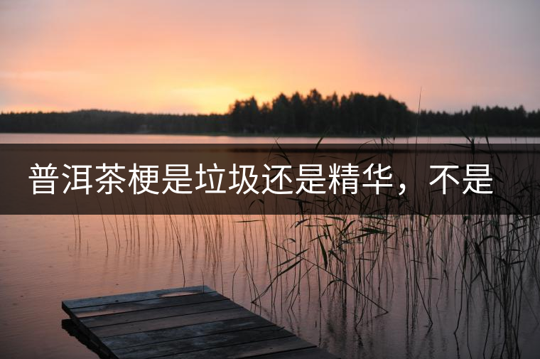 普洱茶梗是垃圾還是精華,不是一個(gè)人說(shuō)的算 普洱茶梗是垃圾還是精華,不是一個(gè)人說(shuō)的算