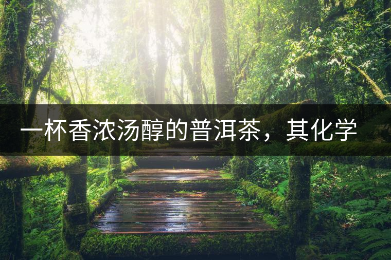 一杯香濃湯醇的普洱茶，其化學成分是怎樣的？