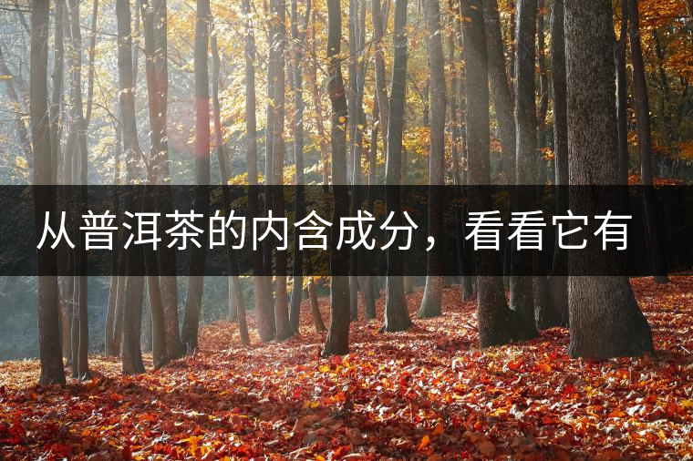 從普洱茶的內(nèi)含成分,看看它有什么功效? 從普洱茶的內(nèi)含成分,看看它有什么功效?