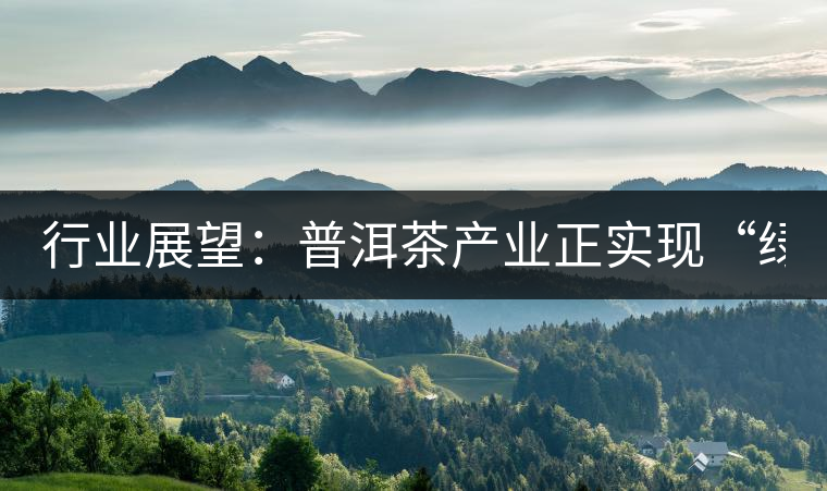 行業展望：普洱茶產業正實現“綠色崛起”