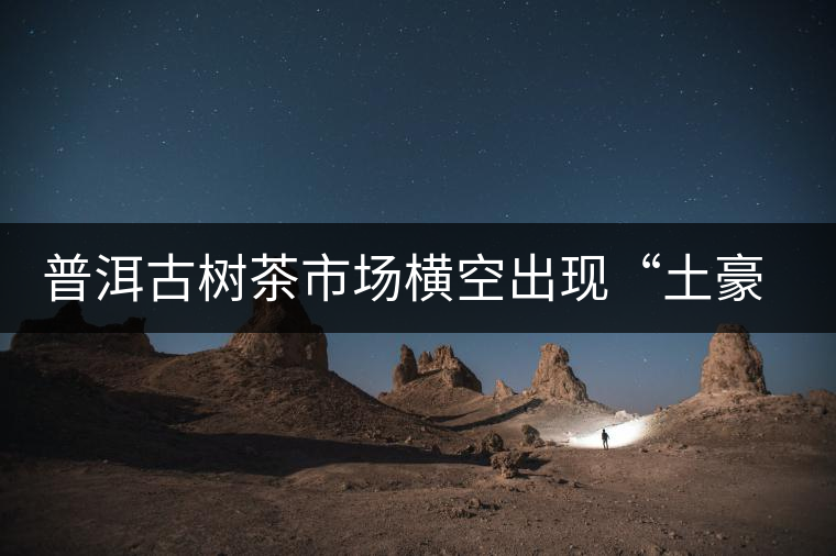 普洱古樹茶市場橫空出現“土豪”品牌 普洱古樹茶市場橫空出現“土豪”品牌