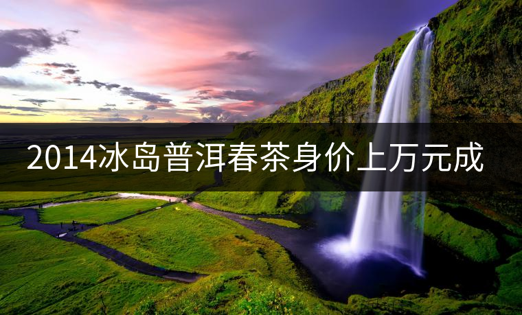 2014冰島普洱春茶身價上萬元成“新貴” 2014冰島普洱春茶身價上萬元成“新貴”