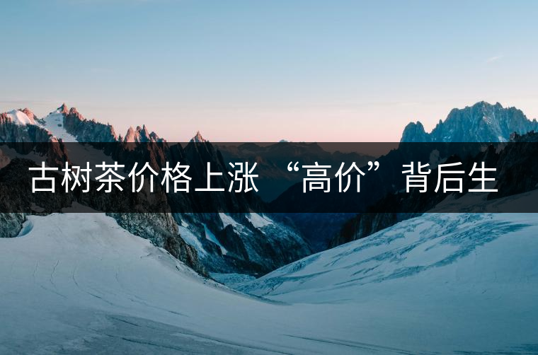 古樹茶價格上漲 “高價”背后生態環境令人擔憂 古樹茶價格上漲 “高價”背后生態環境令人擔憂