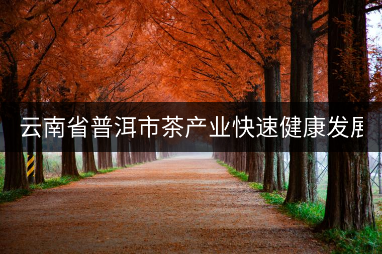 云南省普洱市茶產業快速健康發展 總產值86億元