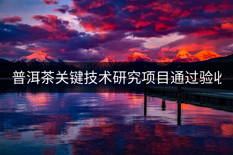 普洱茶關鍵技術研究項目通過驗收 普洱茶發展再添力