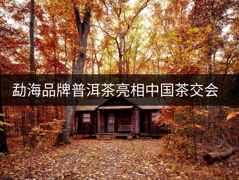 勐海品牌普洱茶亮相中國茶交會 百余茶企參展 勐海品牌普洱茶亮相中國茶交會 百余茶企參展