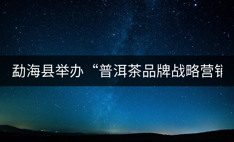 勐海縣舉辦“普洱茶品牌戰略營銷專題講座”