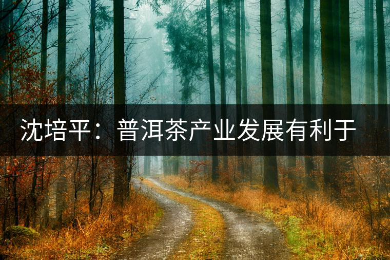沈培平：普洱茶產業發展有利于人民健康