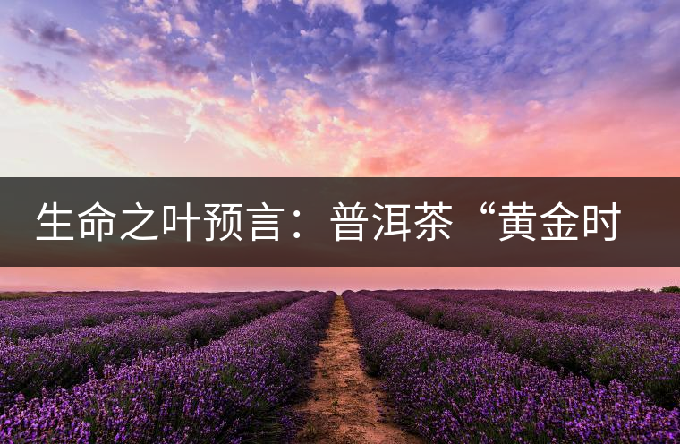 生命之葉預言：普洱茶“黃金時代”即將再度來臨