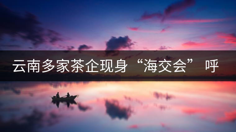 云南多家茶企現身“海交會” 呼吁普洱茶投資應理性