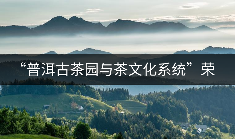 “普洱古茶園與茶文化系統”榮膺中國首批重要農業文化遺產