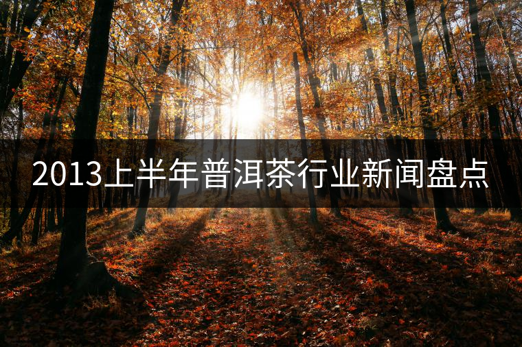 2013上半年普洱茶行業新聞盤點