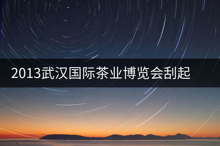 2013武漢國際茶業博覽會刮起一股“黑旋風 2013武漢國際茶業博覽會刮起一股“黑旋風