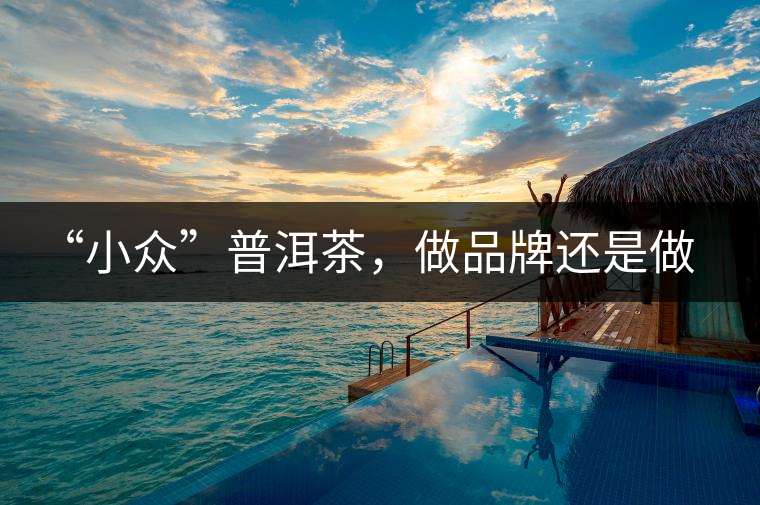 “小眾”普洱茶,做品牌還是做圈子? “小眾”普洱茶,做品牌還是做圈子?